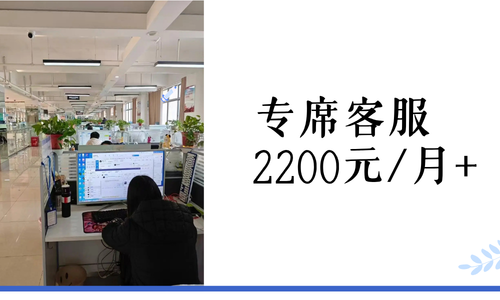 专席客服方案  