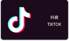 【抖店日咨询量怎么查】抖店飞鸽日均询单量，客服每日接待量查询方法  